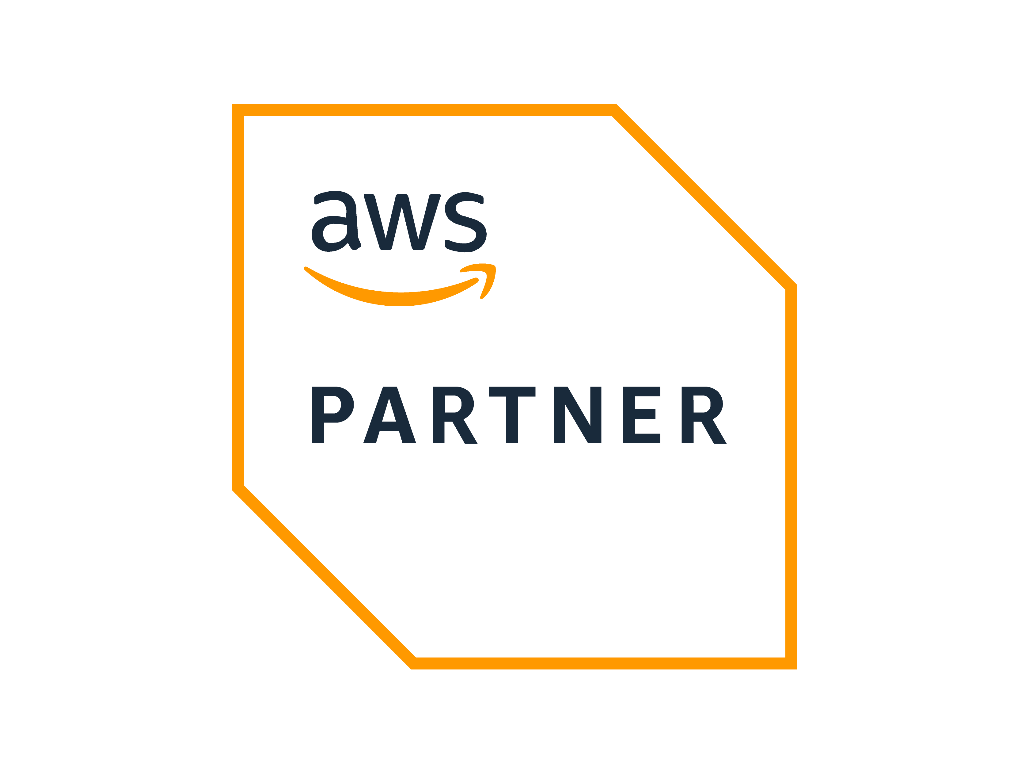 AWS Partner Logo